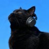 Kopi profil fotoğrafı