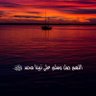 Фото профиля ساري الدامس ..