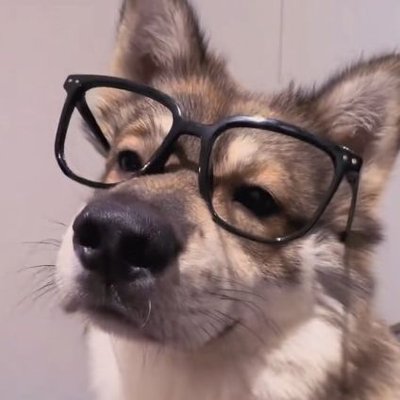 HexsTheWooF's profile picture
