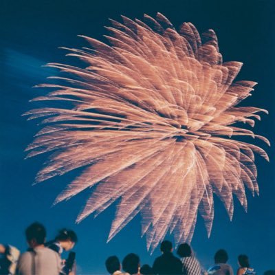 Nikola314159's profile picture