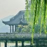 蛙蛙纯傻's profile picture