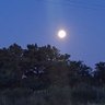 Sol de enero profil fotoğrafı