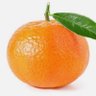 Frence's profile picture