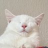 FAMHLY's profile picture