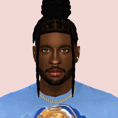 RoyalPlays48's profile picture