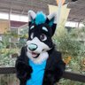 Profilbild von Aero Wusky