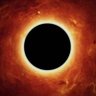 black pill apocalypse's profile picture