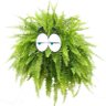 TheFernX's profile picture