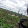 Murtadha Algarawi's profile picture