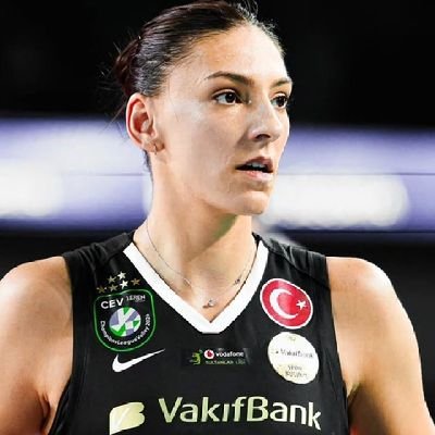 Boskovic Br 🇧🇷's profile picture