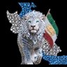 LeilaH 💚🤍❤️👑🕊️🇮🇷 的头像