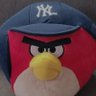 Фото профиля The Angry Yankees Fan