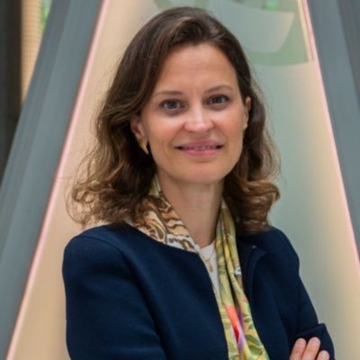 Susana Cordeiro Guerra's profile picture