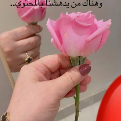 SarhMlkh's profile picture