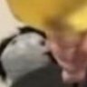 Markiplier's left leg 的头像