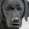 Aaron's profile picture