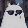 Profilbild von Polar