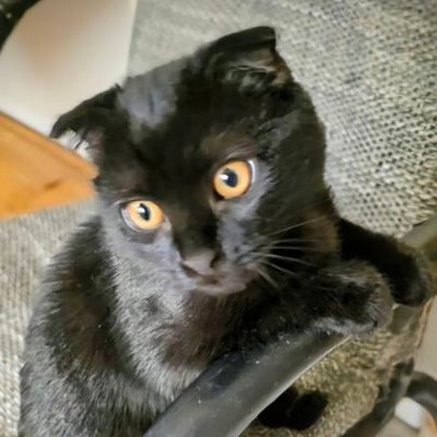CharlesRume's profile picture