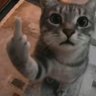 argent's profile picture