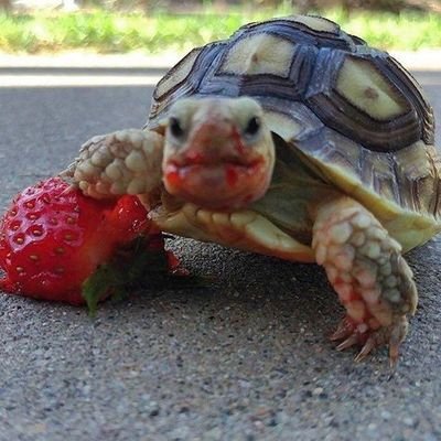 blimble78's profile picture