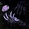Profilbild von romance - One Bind Bandit
