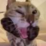 Profilbild von ex loirinha