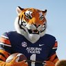 Zackery Holmes's profile picture