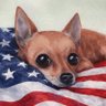 Socialist Chi 的头像