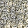Profilbild von Littleboxes observe l'apocalypse en cours