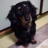かながわあきら 的头像