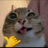 Profilbild von Bsiu