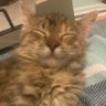 Profilbild von j