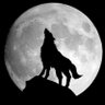 Wolf Zhang's profile picture