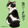 Фото профиля fu-chan@bold