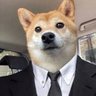 Dogesh 的头像