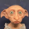 Dob profil fotoğrafı