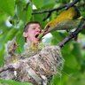 Фото профиля Kacper