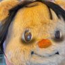 熊熊 ˙ᴥ˙ profil fotoğrafı