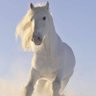 Aytaç DİLCİ profil fotoğrafı