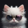 Фото профиля el gato