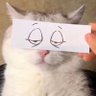 Mon profil fotoğrafı
