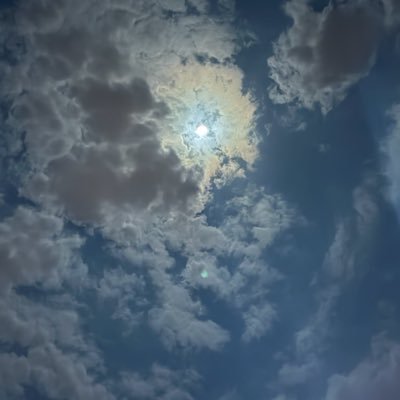 mehmet asn's profile picture