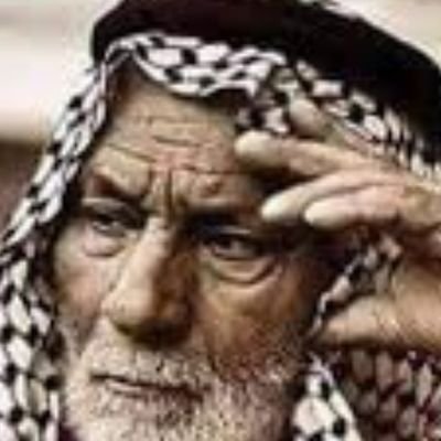 amadaliraqii's profile picture