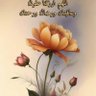 Фото профиля اديب.عساف