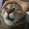 Kai profil fotoğrafı