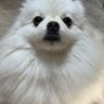 Profilbild von chuchu | SPACE🛰