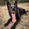 JACKO's profile picture