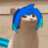 Profilbild von Samuel V