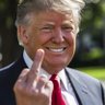 Profilbild von MN Trump Chump