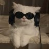 Profilbild von triz🪼